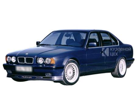 Альпина В10 2